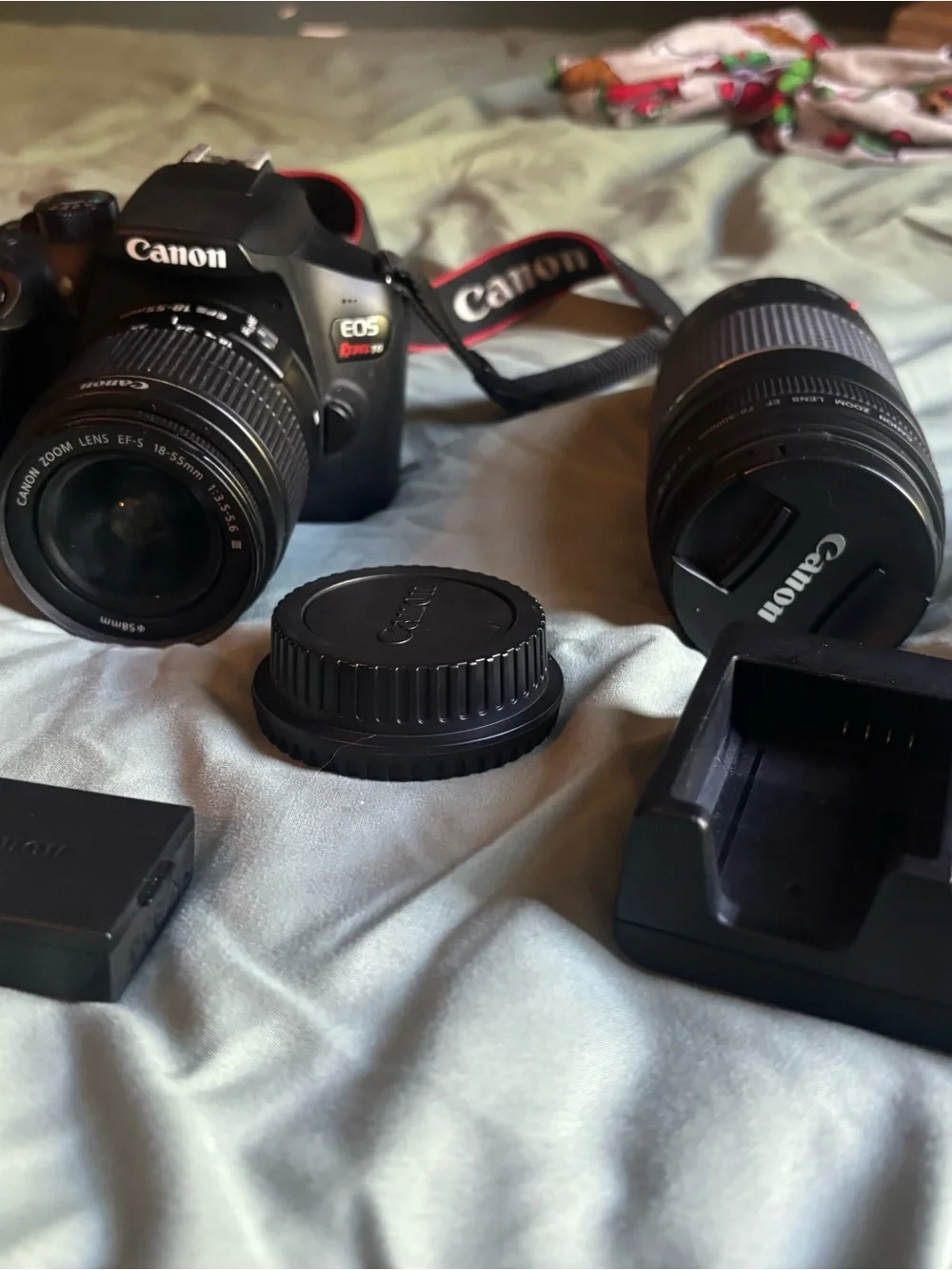 Canon Black DSLR Camera Kit with Two Zoom Lenses